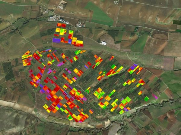 Mappa di vigore NDVI da immagine satellitare